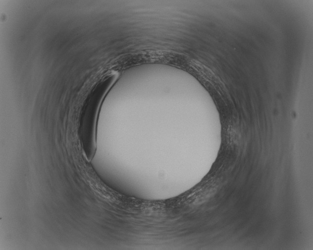 X0000084550865200703091717