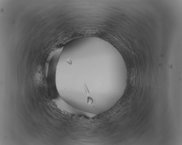 X0000084550866200703091717