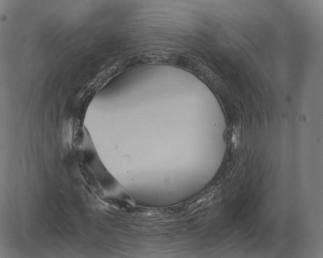 X0000084550867200703091717