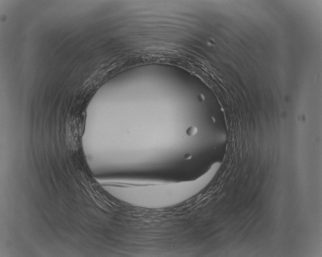 X0000084550868200703091717