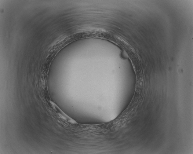 X0000084550869200703091717