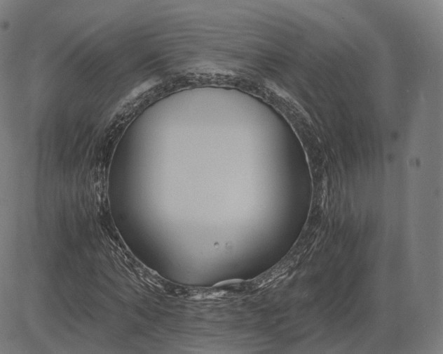 X0000084550870200703091717