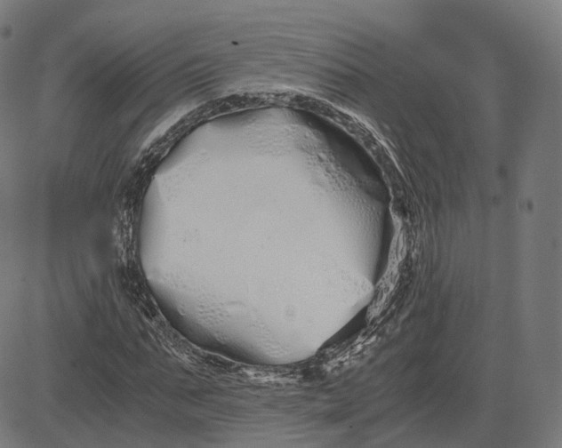 X0000084550871200703091717