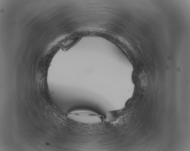 X0000084550872200703091717