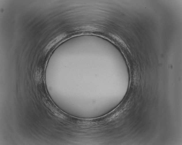 X0000084550873200703091717