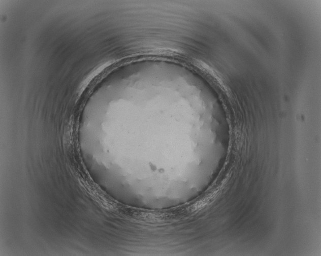 X0000084550875200703091717