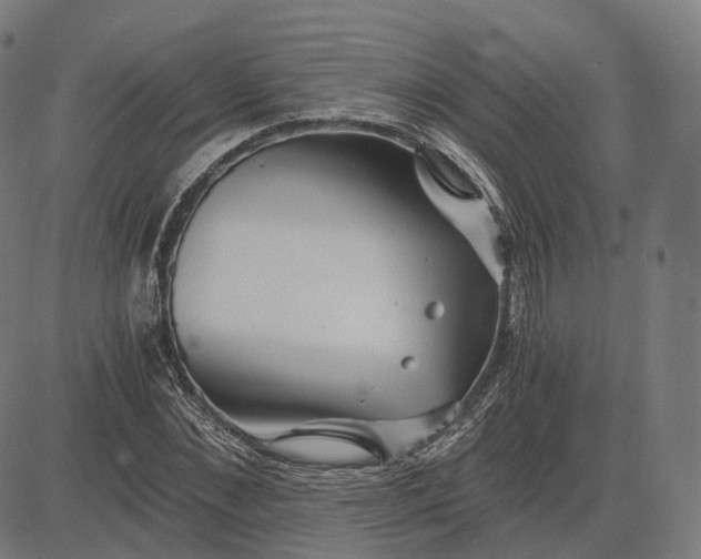 X0000084550876200703091717