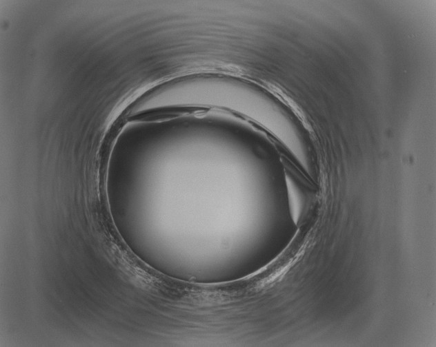 X0000084550877200703091717