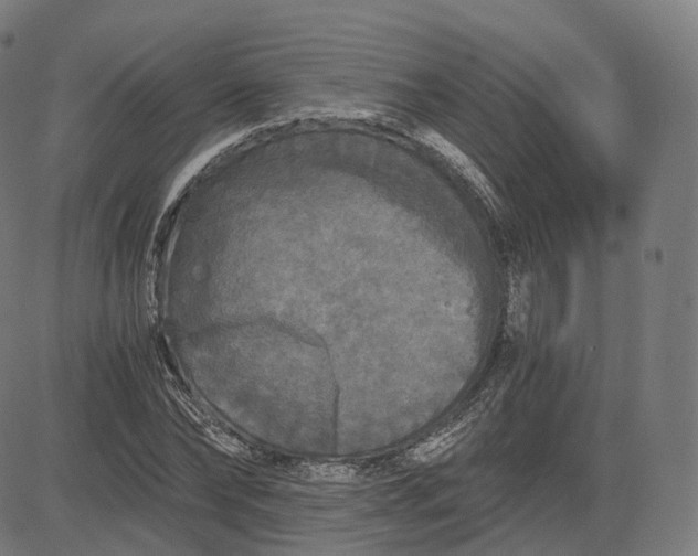 X0000084550878200703091717