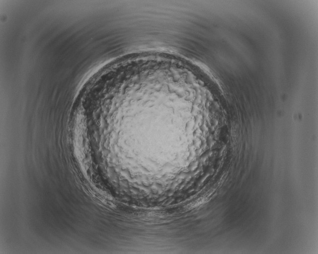 X0000084550879200703091717