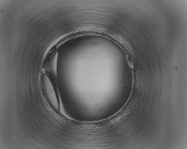 X0000084550880200703091717