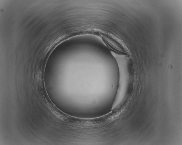 X0000084550881200703091717