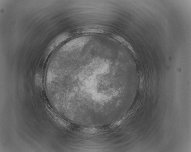 X0000084550882200703091716