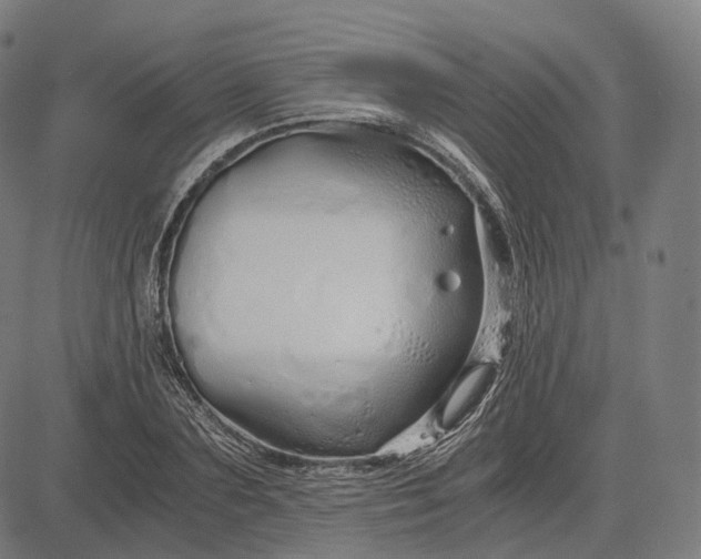 X0000084550883200703091716