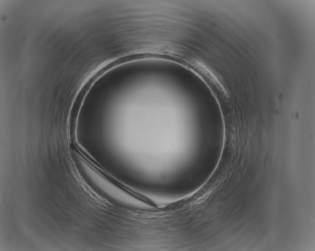 X0000084550884200703091716