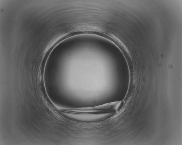 X0000084550885200703091716