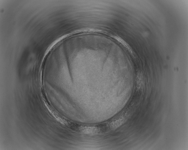 X0000084550886200703091716