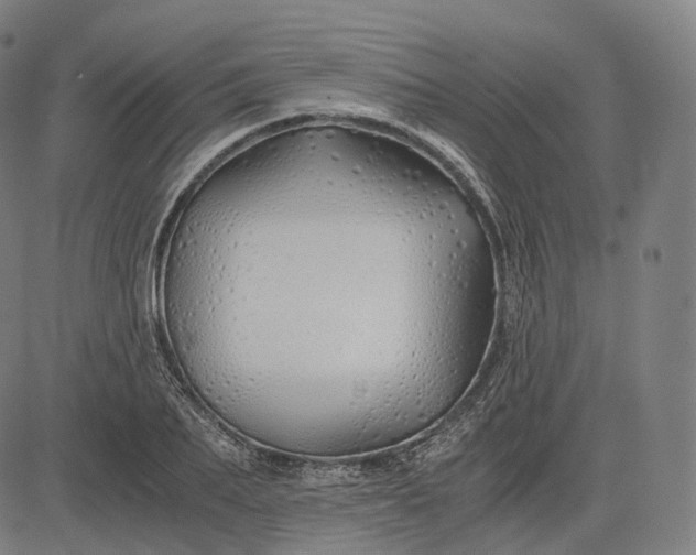 X0000084550887200703091716