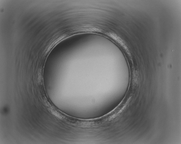 X0000084550889200703091716