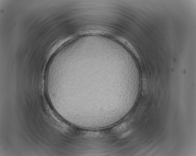 X0000084550890200703091716