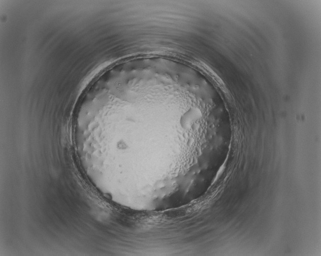 X0000084550891200703091716