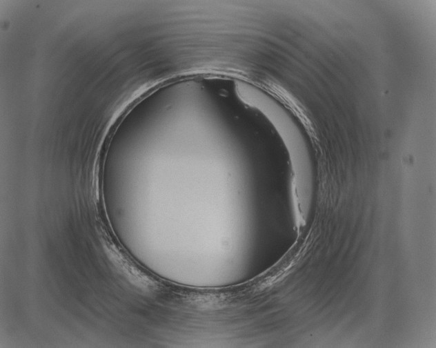 X0000084550892200703091716