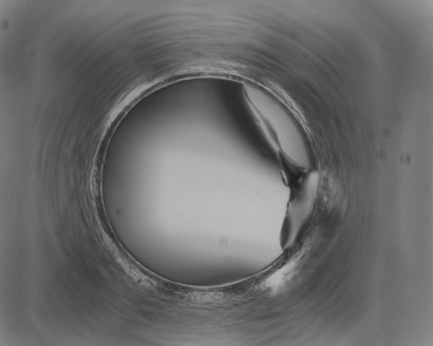 X0000084550893200703091716