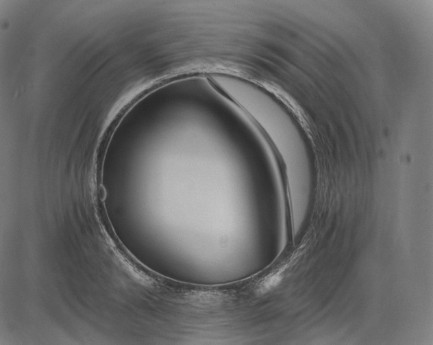 X0000084550894200703091716