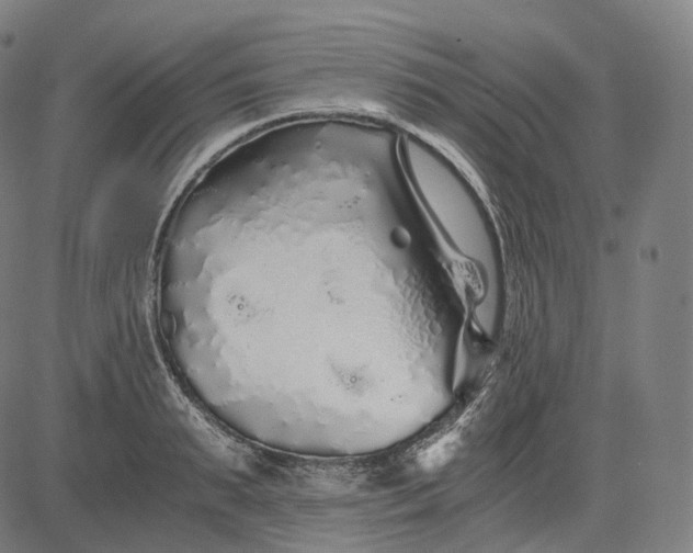 X0000084550895200703091716