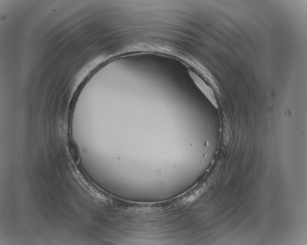 X0000084550896200703091716