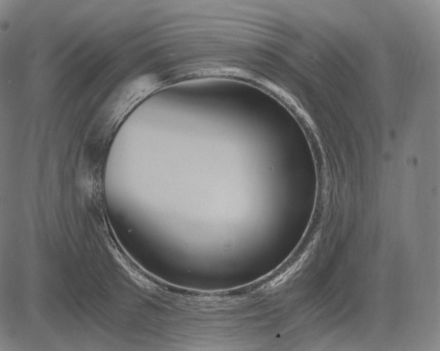 X0000084550897200703091716