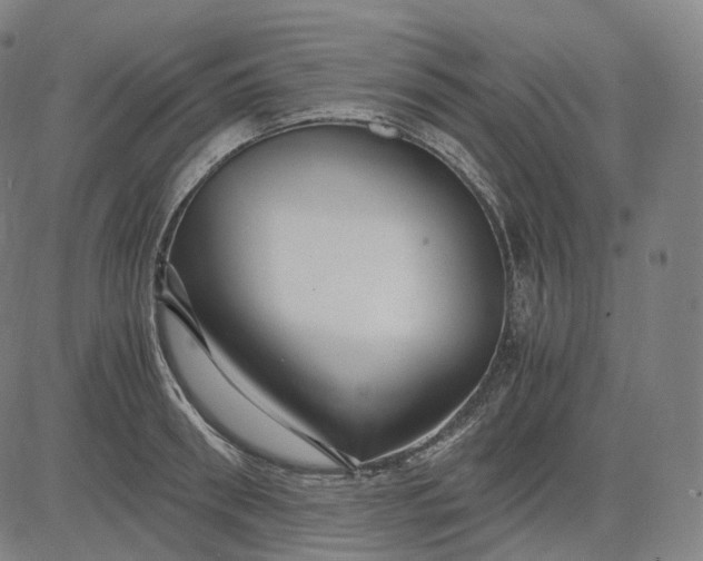 X0000084550898200703091716