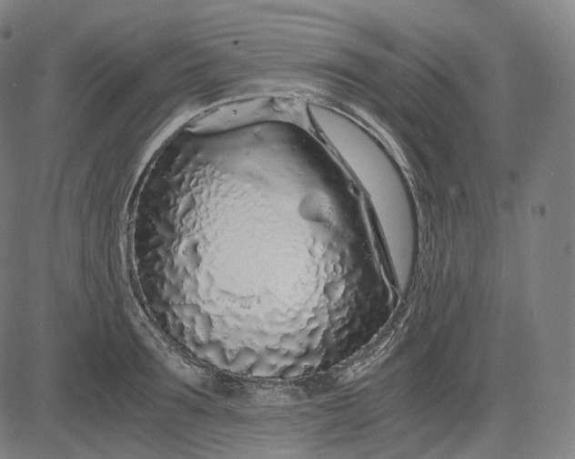 X0000084550899200703091716