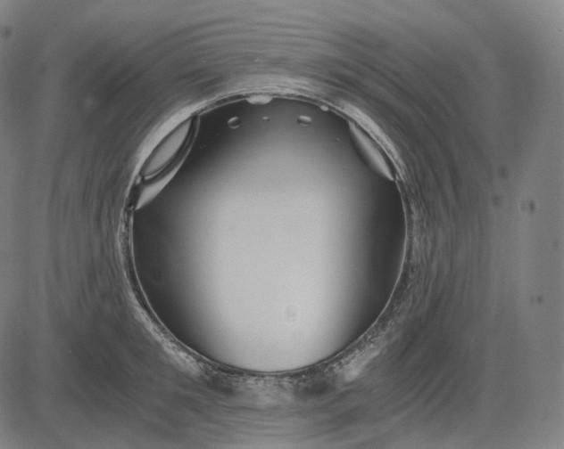 X0000084550901200703091716