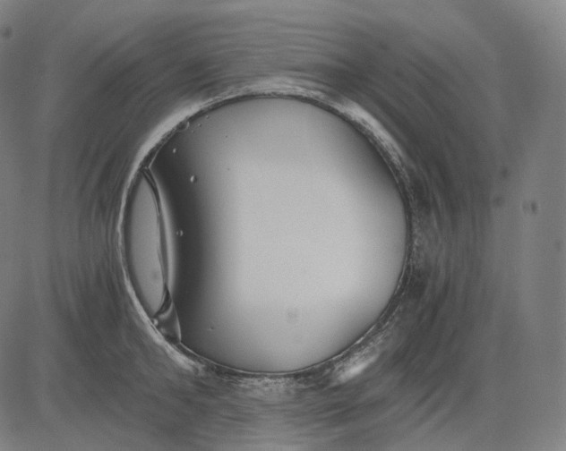 X0000084550902200703091716