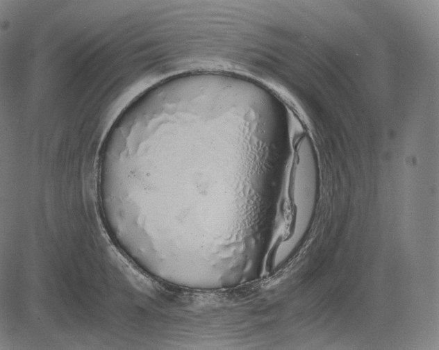 X0000084550903200703091716