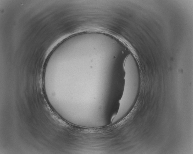 X0000084550904200703091716