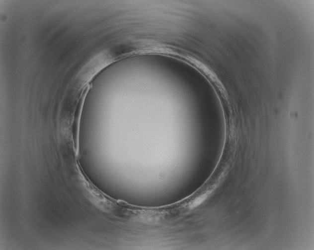 X0000084550905200703091716