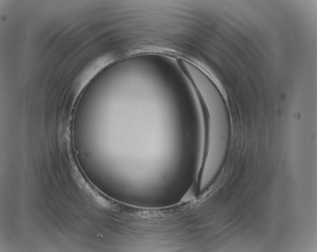 X0000084550906200703091716