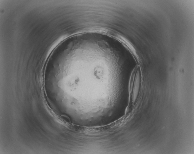 X0000084550907200703091716