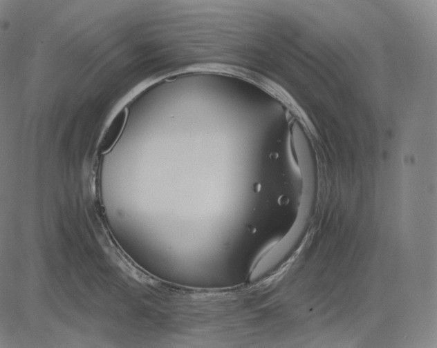 X0000084550908200703091716