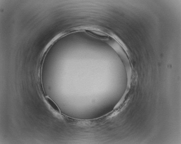 X0000084550909200703091716