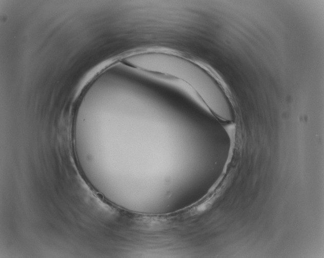 X0000084550910200703091716