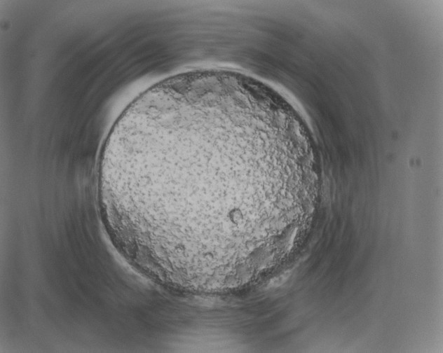 X0000084550911200703091716