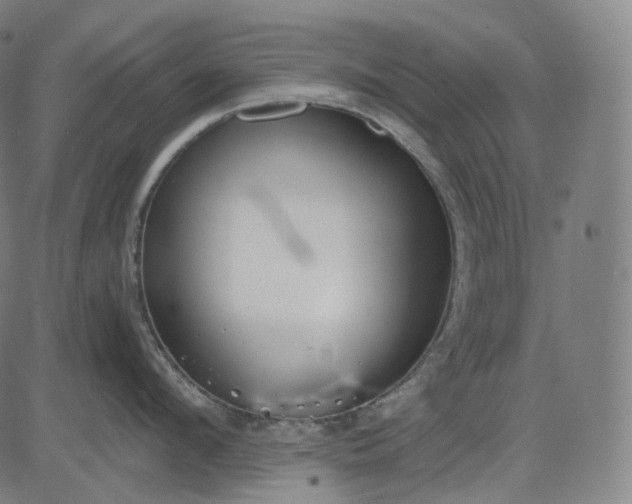 X0000084550912200703091716