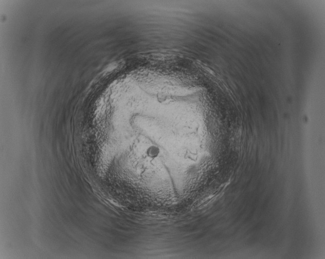 X0000084550913200703091715