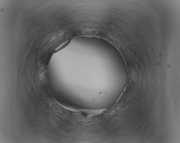 X0000084550914200703091715