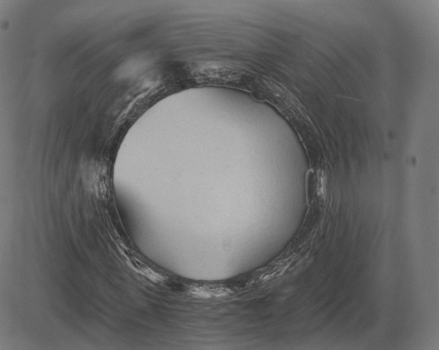 X0000084550915200703091715