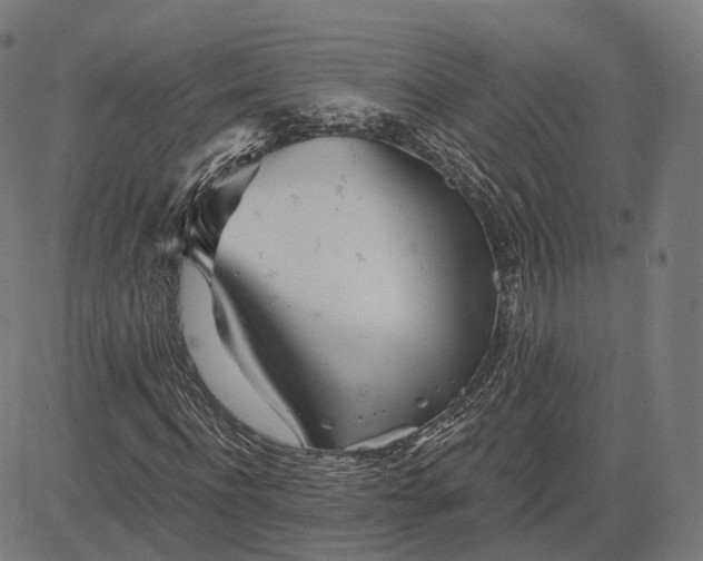 X0000084550916200703091715