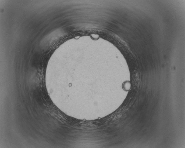 X0000084550918200703091715